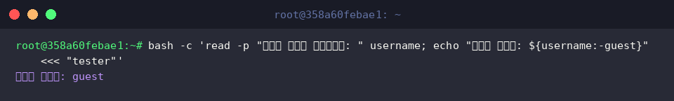bash -c ‘read -p “사용자 이름을 입력하세요: " username; echo “입력된 사용자: ${username:-guest}” «< “tester”’