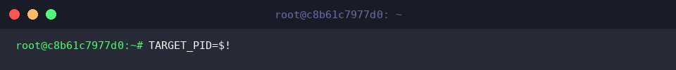TARGET_PID=$!