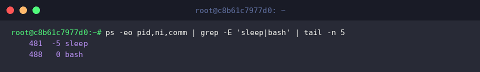 ps -eo pid,ni,comm | grep -E ‘sleep|bash’ | tail -n 5