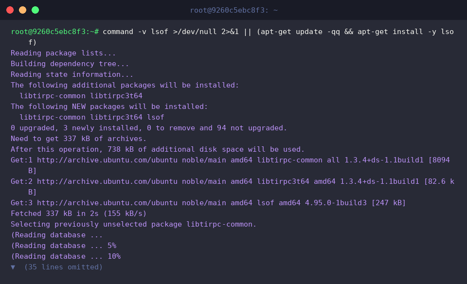 command -v lsof >/dev/null 2>&1 || (apt-get update -qq && apt-get install -y lsof)