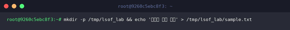 mkdir -p /tmp/lsof_lab && echo ‘테스트 파일 내용’ > /tmp/lsof_lab/sample.txt