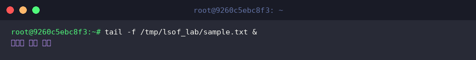 tail -f /tmp/lsof_lab/sample.txt &