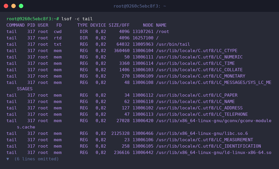 lsof -c tail