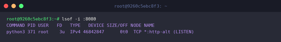 lsof -i :8080