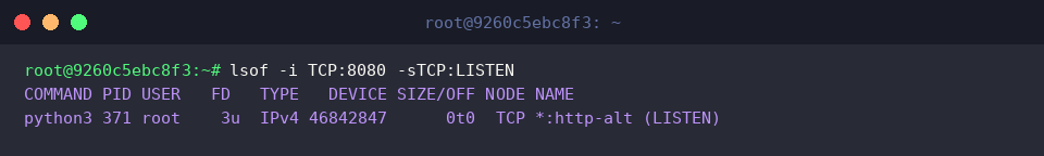 lsof -i TCP:8080 -sTCP:LISTEN