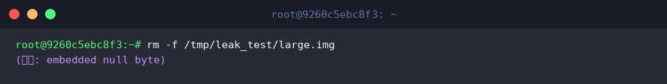 rm -f /tmp/leak_test/large.img