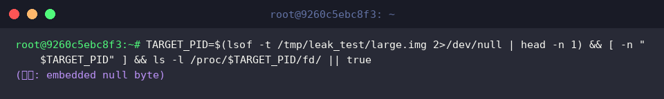 TARGET_PID=$(lsof -t /tmp/leak_test/large.img 2>/dev/null | head -n 1) && [ -n “$TARGET_PID” ] && ls -l /proc/$TARGET_PID/fd/ || true