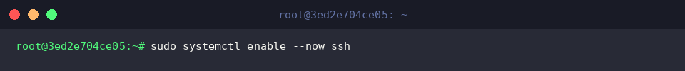 sudo systemctl enable –now ssh