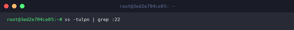 ss -tulpn | grep :22