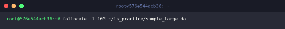 fallocate -l 10M ~/ls_practice/sample_large.dat
