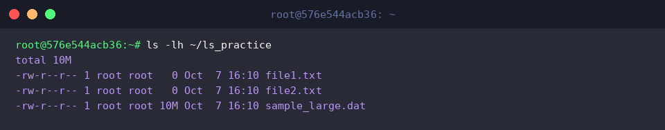 ls -lh ~/ls_practice
