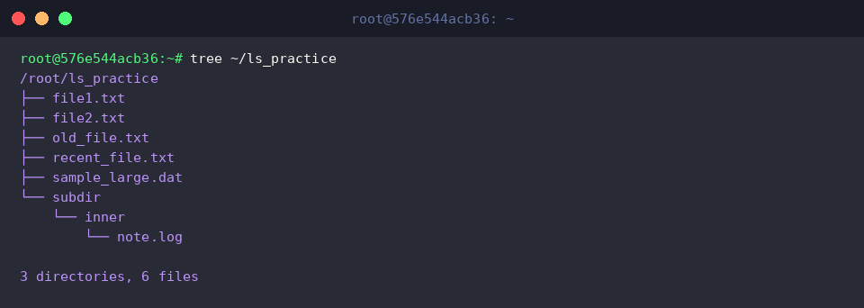 tree ~/ls_practice
