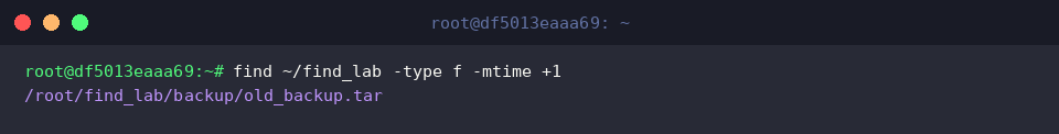 find ~/find_lab -type f -mtime +1