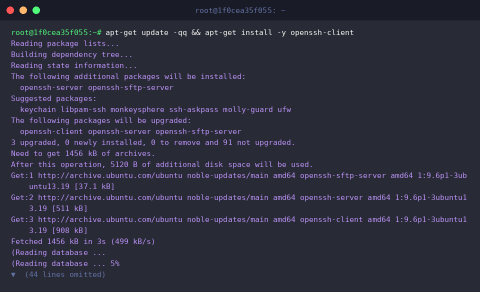 apt-get update -qq && apt-get install -y openssh-client