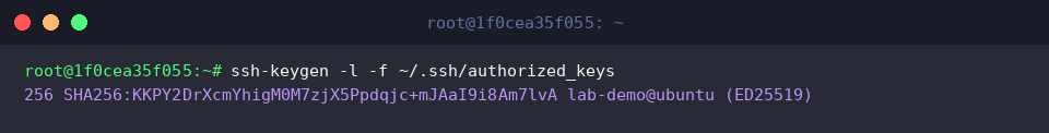 ssh-keygen -l -f ~/.ssh/authorized_keys