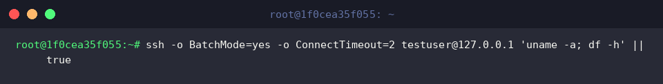 ssh -o BatchMode=yes -o ConnectTimeout=2 testuser@127.0.0.1 ‘uname -a; df -h’ || true