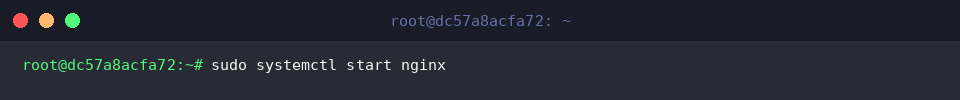 Starting the Nginx background daemon