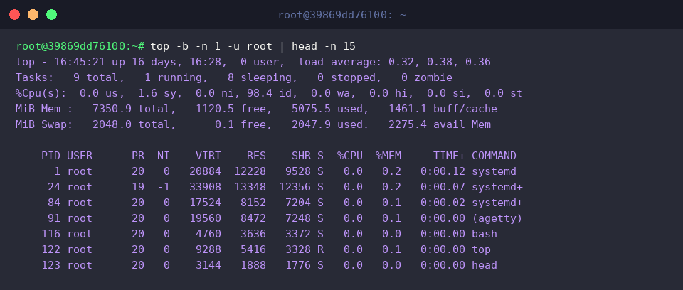 Überwachung von Prozessen des Systemadministrators root