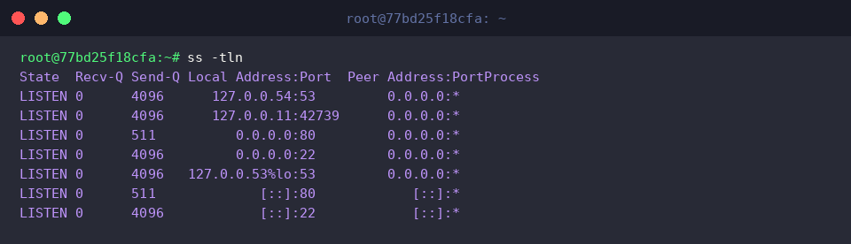 Comprobación numérica de puertos en escucha utilizando ss -tln