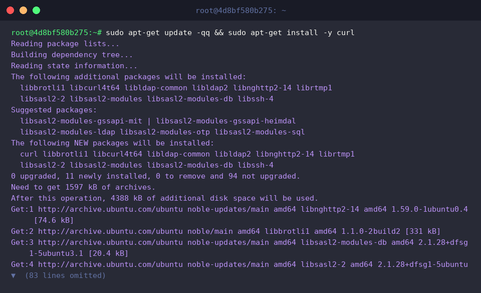 Updating package index and installing curl