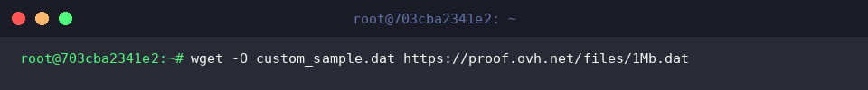 wget -O custom_sample.dat https://proof.ovh.net/files/1Mb.dat