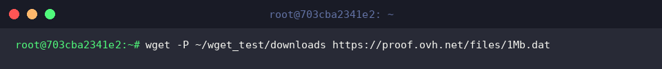 wget -P ~/wget_test/downloads https://proof.ovh.net/files/1Mb.dat