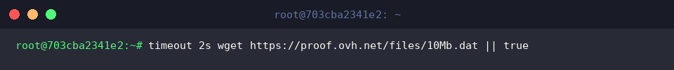 timeout 2s wget https://proof.ovh.net/files/10Mb.dat || true