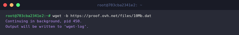 wget -b https://proof.ovh.net/files/10Mb.dat