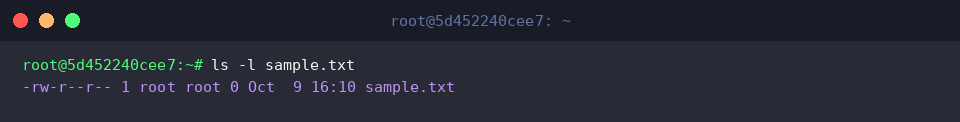 Inspecting sample.txt with long format