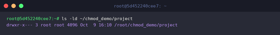Verifying project folder mode