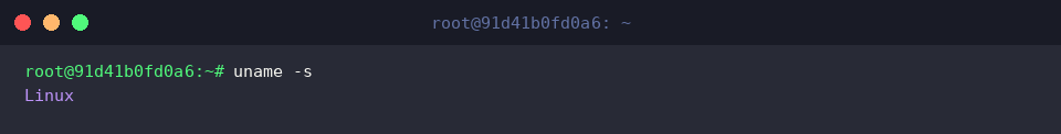 Abfrage des Kernel-Namens über uname -s