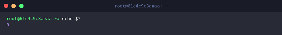 Abfrage des erfolgreichen Statuscodes via echo $?