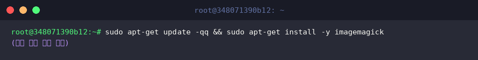 Installing ImageMagick package via apt-get
