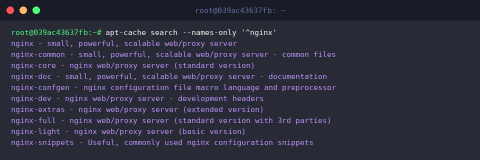 Namensbasierte Suche nach Nginx-Paketen
