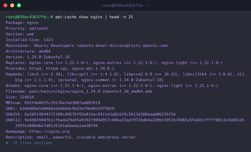 Metadatenstruktur des Nginx-Pakets
