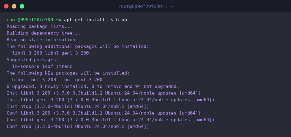 apt-get install -s htop