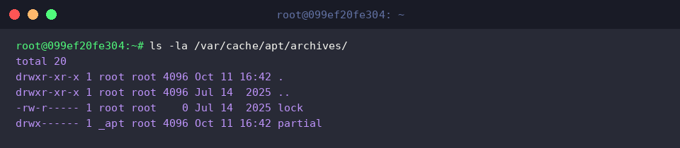 ls -la /var/cache/apt/archives/