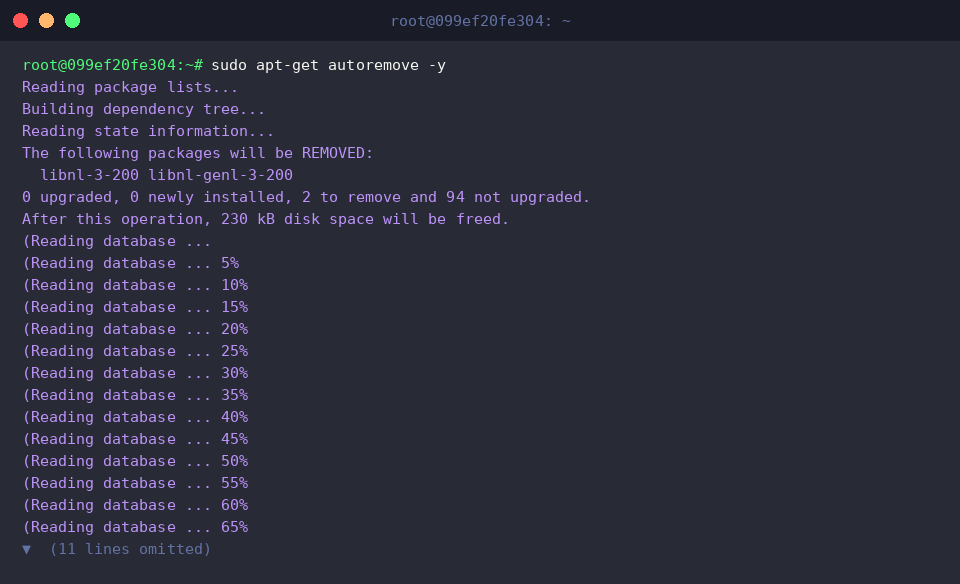 sudo apt-get autoremove -y