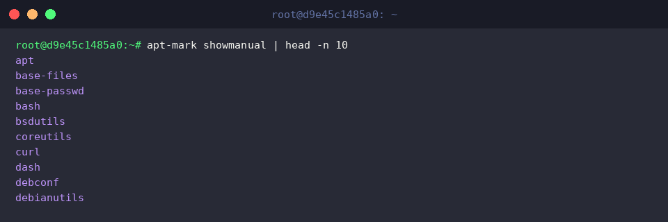apt-mark showmanual | head -n 10