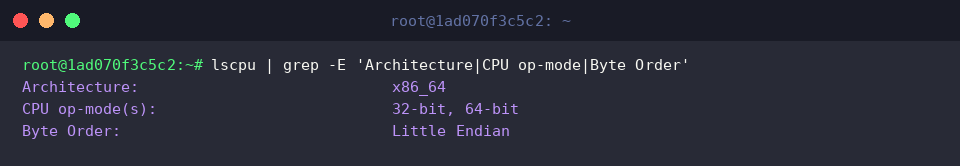 lscpu | grep -E ‘Architecture|CPU op-mode|Byte Order’