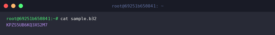 Inspecting encoded binary output