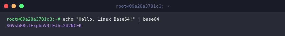Encoding a basic string with echo and base64