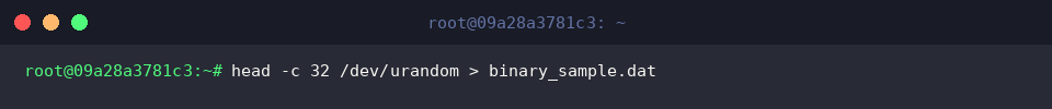 Extracting 32 random bytes from urandom