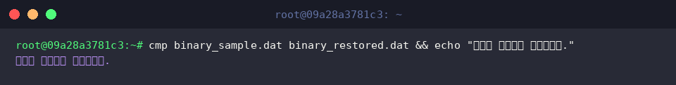 Validating bitwise match between original and restored binary files