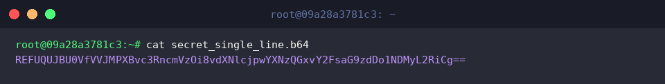 Displaying continuous single-line base64 payload