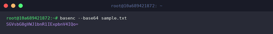 Base64-Transformation einer Textdatei