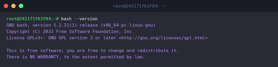Checking the installed Bash version