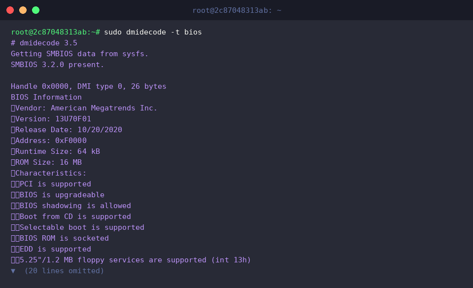 Extract BIOS details with dmidecode -t bios