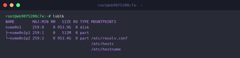Checking initial block device topology with lsblk