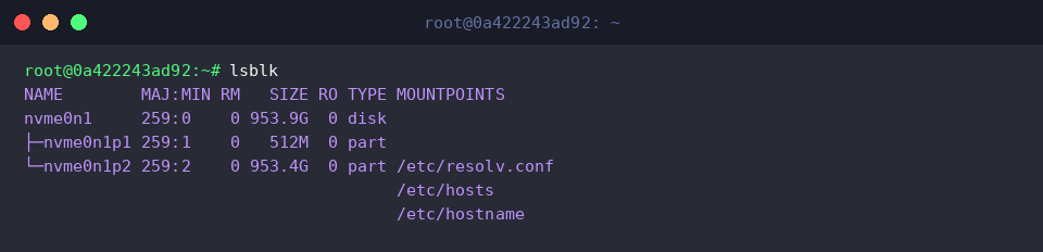 Inspecting partition hierarchies with lsblk